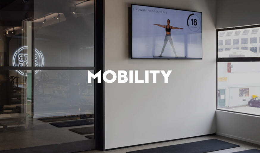 mobility-final mobility-final
